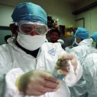beijingMedicalWorkers4sars_falun dafa clearwisdomDOTnet